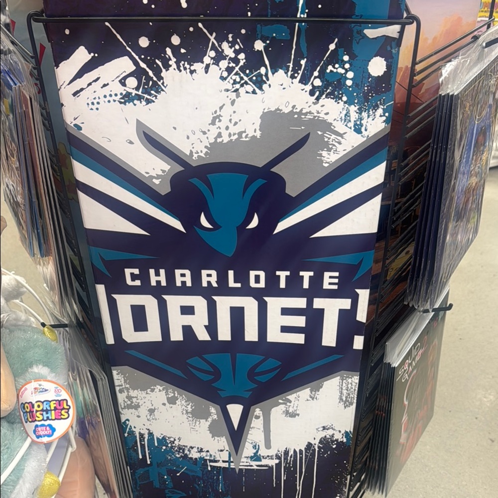 NBA Blue and White Wall Art Charlotte Hornets